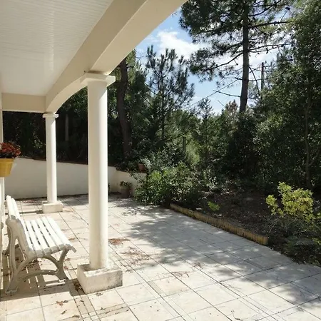 Grande Terrasse 800m Demoiselles *